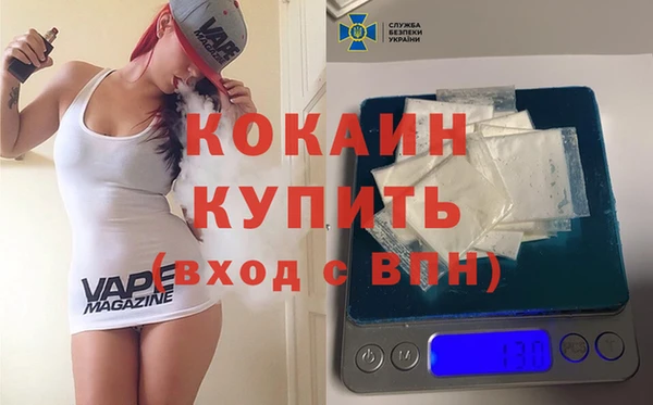 стаф Арсеньев