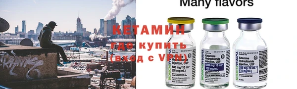 стаф Аркадак