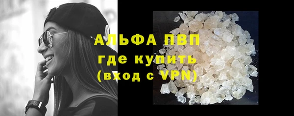стаф Арсеньев