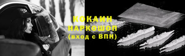 стаф Аркадак