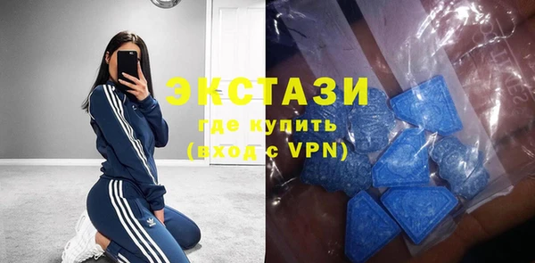 стаф Аркадак