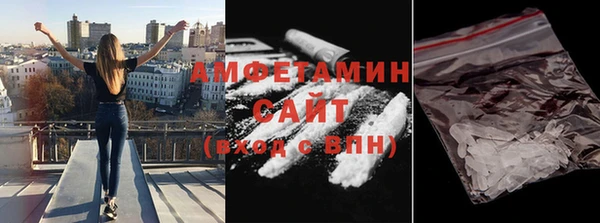 стаф Аркадак