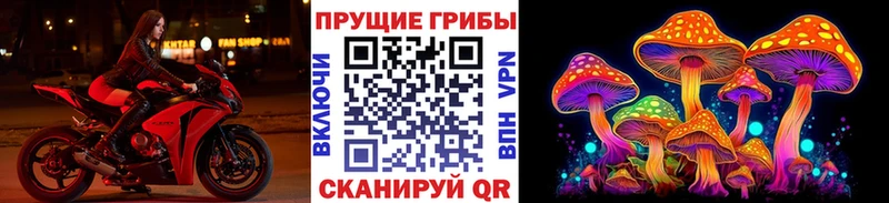 KRAKEN как войти  Новотроицк  Псилоцибиновые грибы ЛСД 